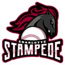 Charlotte Stampede