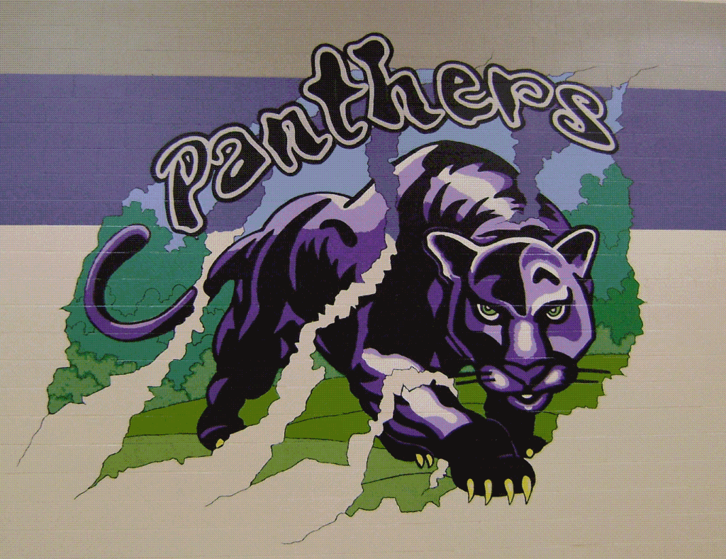 Peyton Tritz High School Girls Basketball Stats Dakota Valley (North