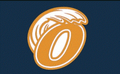 Orange Wave mascot photo.