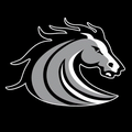 Mustangs mascot photo.