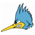 Roadrunners mascot photo.