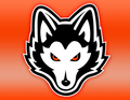 Huskies mascot photo.