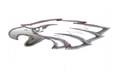 Thunderhawks mascot photo.