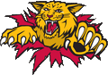 Wildcats mascot photo.