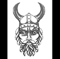 Vikings mascot photo.