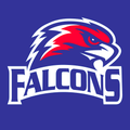 Falcons mascot photo.