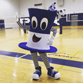 Toppers mascot photo.