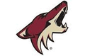 Coyotes mascot photo.