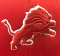 Crimson Lions mascot photo.