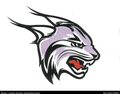 Lynx mascot photo.
