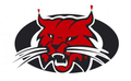 Wildcats mascot photo.