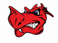 Dragons mascot photo.