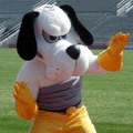 Stormin' Pointers mascot photo.