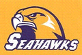 Seahawks mascot photo.