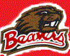 Beavers mascot photo.