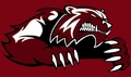 Wolverines mascot photo.