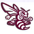 Hornets mascot photo.
