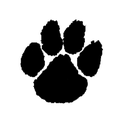 Wildcats mascot photo.
