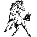 Broncos mascot photo.