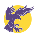 Nighthawks mascot photo.