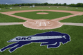 Buffaloes mascot photo.