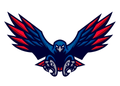 Hawks mascot photo.