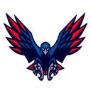 Harmony School of Excellence