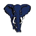 Mighty Elephants mascot photo.