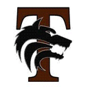 Mansfield Timberview logo