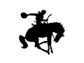 Cowboys mascot photo.
