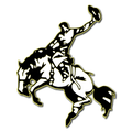 Cowboys mascot photo.