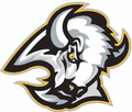 Buffaloes mascot photo.