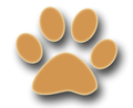 Cougars mascot photo.