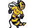 Yellowjackets mascot photo.