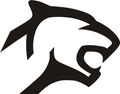 Cougars mascot photo.