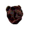 Bears mascot photo.