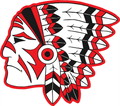 Saukees mascot photo.