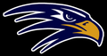 Silver Hawks mascot photo.