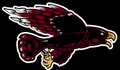 Blackhawks mascot photo.