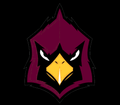 Cardinals mascot photo.