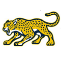 Cheetahs mascot photo.