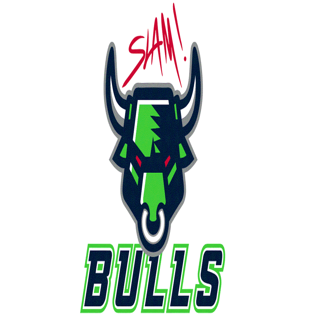 volleyball-recap-pinecrest-academy-sloan-canyon-triumphs