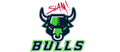 Bulls mascot photo.