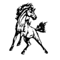 Ponies mascot photo.