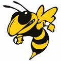 Yellowjackets mascot photo.