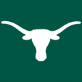 Longhorns mascot photo.