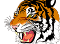 Tigers mascot photo.