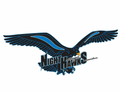 Night Hawks mascot photo.