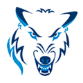 Timberwolves mascot photo.
