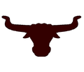 Longhorns mascot photo.